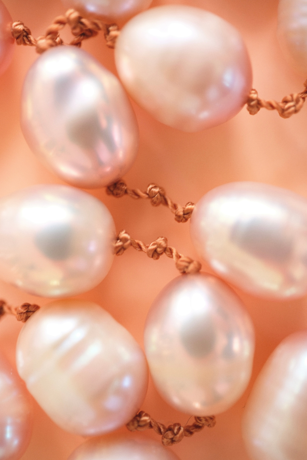 Série Limitée Printemps