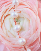 Collier en perles d'eau douce sur cordon — IVARENE Paris
